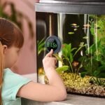 PAIZOO Fish Tank Digital Thermometer Accurate LED Display To 0.9 F Tank Thermometer Aquarium Temperature Measurement Suitable For Fish, Axolotl, Turtle Or Aquatic - Image 3